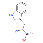 2-Amino-3-(1H-indol-3-yl)propanoic acid