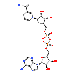 Adenosine5'-(trihydrogen diphosphate), P'®5'-ester with 1,4-dihydro-1-b-D-ribofuranosyl-3-pyridinecarboxamide