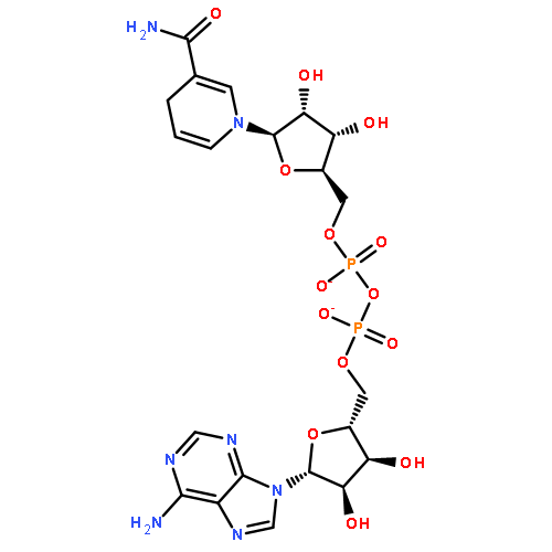 Adenosine5'-(trihydrogen diphosphate), P'®5'-ester with 1,4-dihydro-1-b-D-ribofuranosyl-3-pyridinecarboxamide