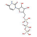 Uridine 5'-triphosphate