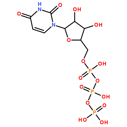 Uridine 5'-triphosphate