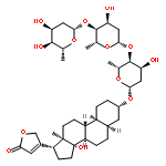 DIGITOXIN 