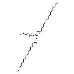 1,2-Dipalmitoyl-sn-glycero-3-PE