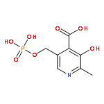 4-Pyridinecarboxylicacid, 3-hydroxy-2-methyl-5-[(phosphonooxy)methyl]-