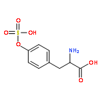 L-Tyrosine, O-sulfo-