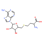 S-(5'-deoxyadenosin-5'-yl)-L-Homocysteine