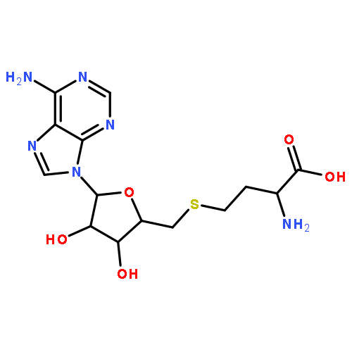S-(5'-deoxyadenosin-5'-yl)-L-Homocysteine