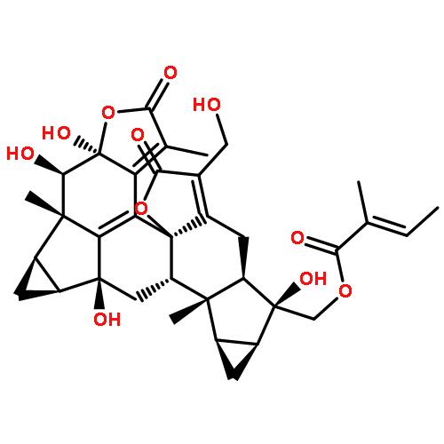 Chloramultilide D