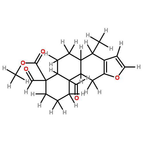 phanginin J