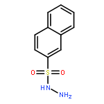 2-Naphthalenesulfonicacid, hydrazide