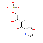 D-Galactose,2-(acetylamino)-2-deoxy-, 6-(hydrogen sulfate)