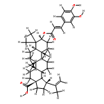 3-O-caffeoylbetulinic acid