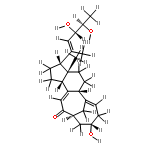 neocyclocitrinol D