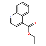 Ethyl quinoline-4-carboxylate