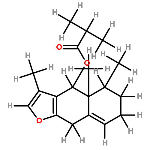 6beta-isobutyryloxyeuryopsin