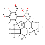 siphonodictyal D