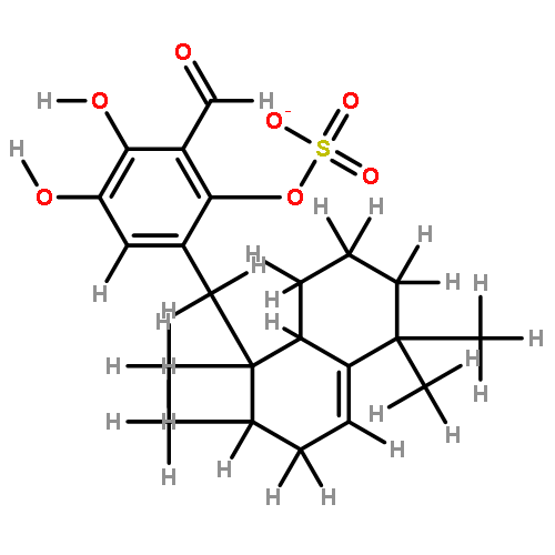 siphonodictyal D