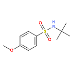 N-(tert-butyl)-4-methoxybenzenesulfonamide