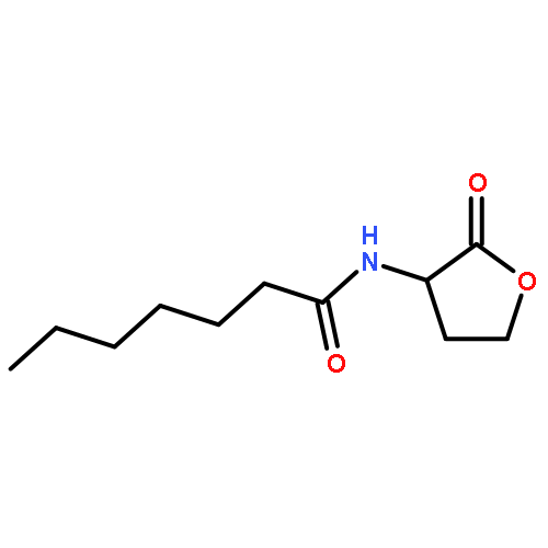 Heptanamide,N-(tetrahydro-2-oxo-3-furanyl)-