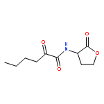 Hexanamide, 2-oxo-N-(tetrahydro-2-oxo-3-furanyl)-