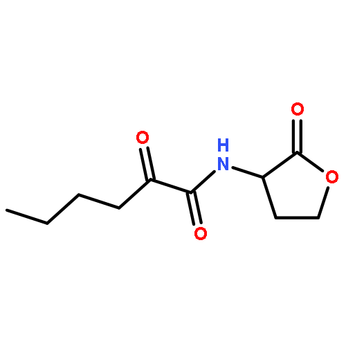 Hexanamide, 2-oxo-N-(tetrahydro-2-oxo-3-furanyl)-