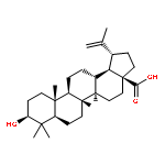 betulinic acid