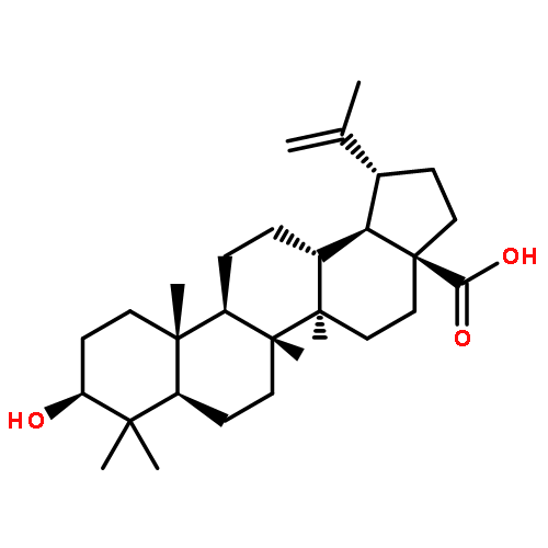 betulinic acid