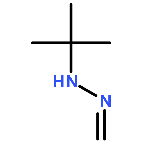 tert-butylhydrazone of formaldehyde