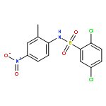 N-(2-Methyl-4-nitrophenyl)-2,5-dichlorobenzenesulfonamide