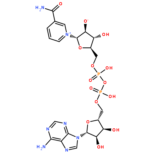 Adenosine5'-(trihydrogen diphosphate), P'®5'-ester with 3-(aminocarbonyl)-1-a-D-arabinofuranosylpyridinium inner salt (9CI)