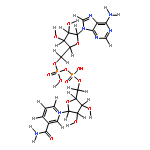 alpha-Nicotinamid-adenin-dinucleotid