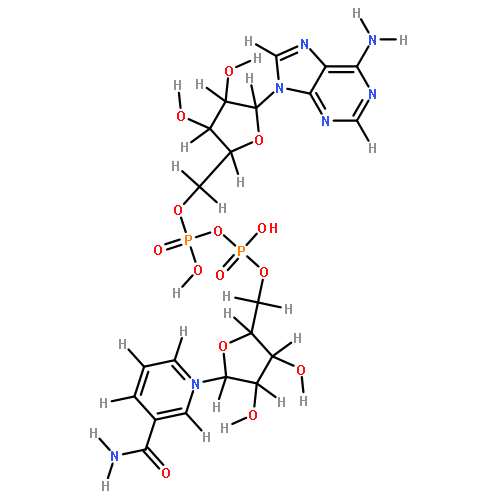 alpha-Nicotinamid-adenin-dinucleotid