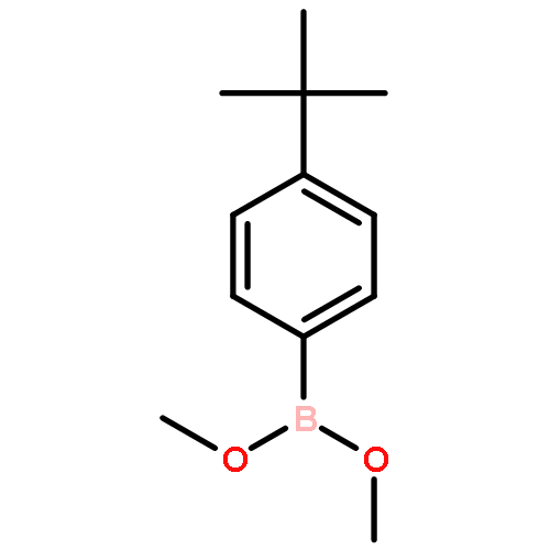 4-tert-butylphenylboronic dimethyl ester