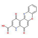 1,5-DIOXO-4H-PYRIDO[3,2-A]PHENOXAZINE-3-CARBOXYLIC ACID