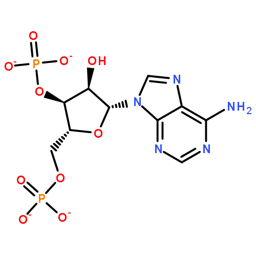 3'-Adenylic acid,5'-(dihydrogen phosphate)