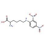 L-Lysine,N6-(2,4-dinitrophenyl)-