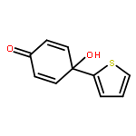 2,5-Cyclohexadien-1-one, 4-hydroxy-4-(2-thienyl)-