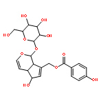 [(1s,4ar,5s,7as)-5-hydroxy-1-[(2s,3r,4s,5s,6r)-3,4,5-trihydroxy-6-(hydroxymethyl)oxan-2-yl]oxy-1,4a,5,7a-tetrahydrocyclopenta[c]pyran-7-yl]methyl 4-hydroxybenzoate