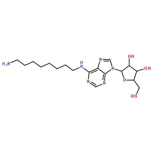 Adenosine,N-(8-aminooctyl)- (9CI)