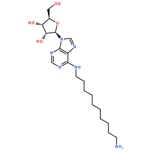 ADENOSINE, N-(10-AMINODECYL)-