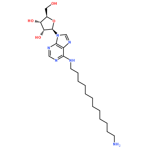 Adenosine, N-(12-aminododecyl)-