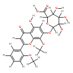 5,7'-dihydroxy-8,2'-dimethoxyflavone 7-O-beta-D-glucuronopyranoside