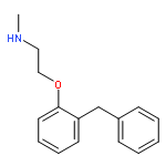 2-(2-BENZYLPHENOXY)-N-METHYLETHANAMINE