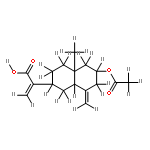 2alpha-acetoxycostoate