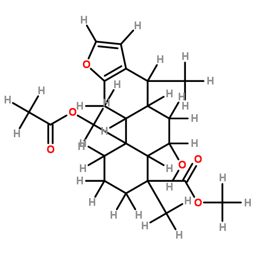 caesalpinista B