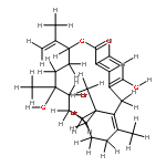 bromophycolide M