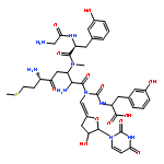 Butanamide,N-[[[1-carboxy-2-(3-hydroxyphenyl)ethyl]amino]carbonyl]methionyl-N-[[5-(3,4-dihydro-2,4-dioxo-1(2H)-pyrimidinyl)dihydro-4-hydroxy-2(3H)-furanylidene]methyl]-N3-(N-glycyl-3-hydroxyphenylalanyl)-N3-methyl-D-2,3-diamino-(9CI)