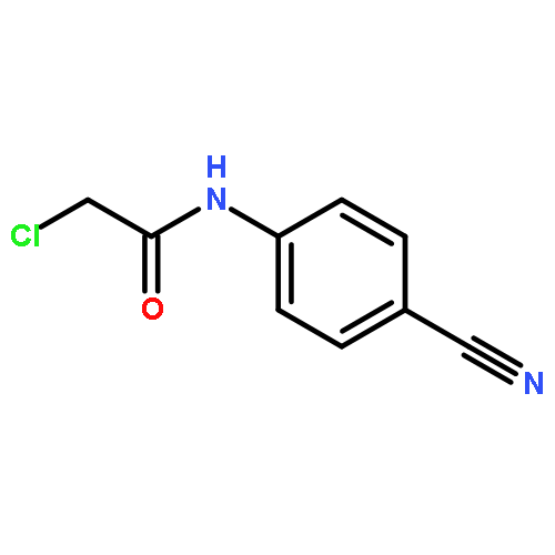 2-chloro-N-(4-cyanophenyl)acetamide