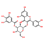 2-(3,4-dihydroxyphenyl)-5,7-dihydroxy-4-oxo-4H-chromen-3-yl 3-O-[(3,4,5-trihydroxyphenyl)carbonyl]-beta-D-galactopyranoside