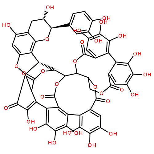 9H,21H-29,19,21a-(Epoxyethanylylidene)-30,14,18-(epoxyethanylylidyne)-25H-dibenzo[7,8:9,10][1,5]dioxacycloundecino[3,2-c]pyrano[2',3':4,5]benzofuro[3,2-g][2]benzoxacyclooctadecin-5,9,21,32,38,41-hexone,27-(3,4-dihydroxyphenyl)-7,7a,26,27,28c,29,30,30a-octahydro-1,2,3,11,12,13,15,16,17,20,24,26,34,35,36-pentadecahydroxy-(9CI)